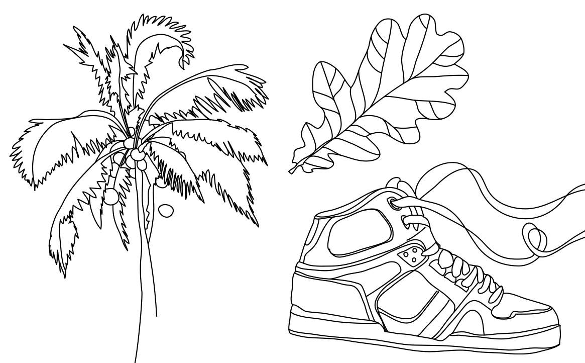 Illustration: Palmtree, leaf, trainer