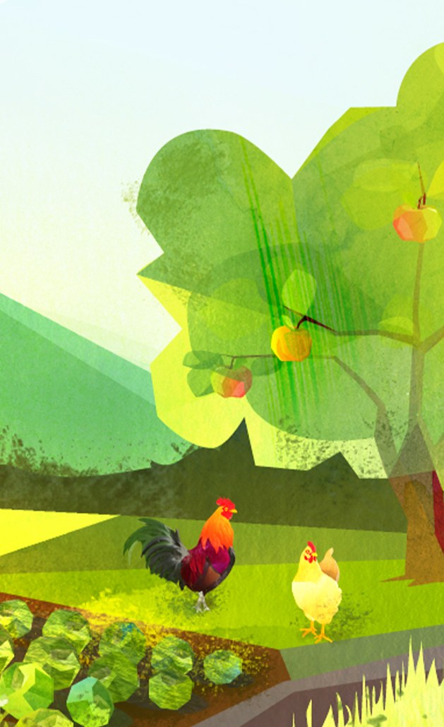 Illustration detail: Salat, chicken, apple tree