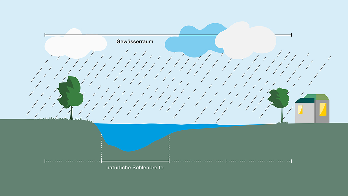 River Profile: River and riverine zone