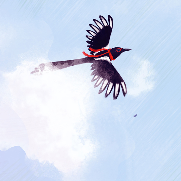 Illustration: Magpie flying