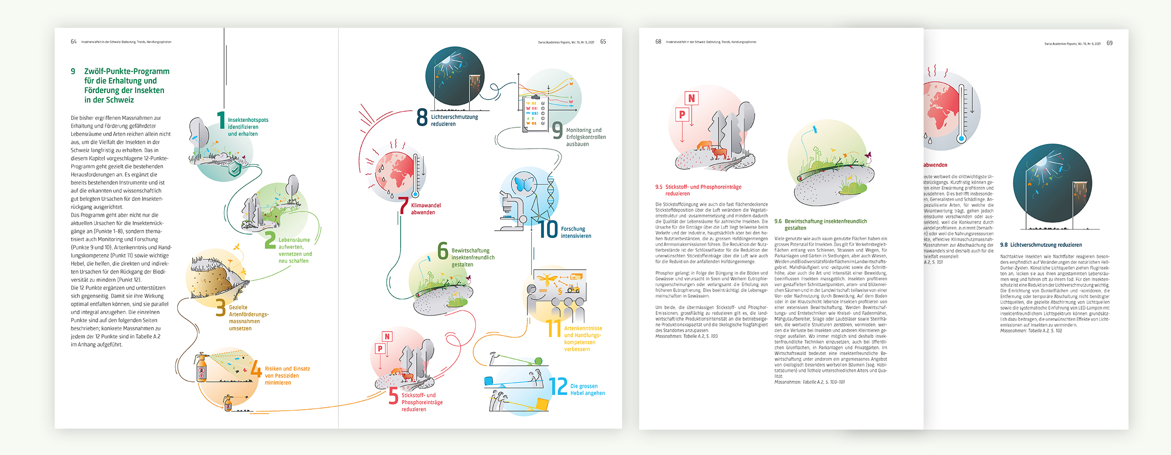 insects_pages_2